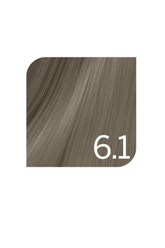 REVLONISSIMO NEW N°6.1 Blond Foncé Cendré "REVLON" tube 60ml