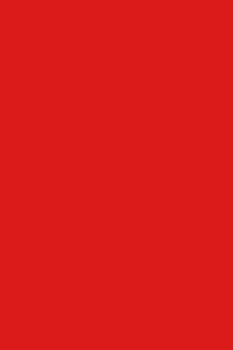 Vernis NUTRI COLOR N°17 Rouge Vif ANDREIA fl.10,5ml
