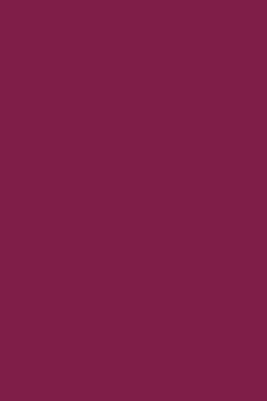 Vernis NUTRI COLOR N°23 Cerise Foncé ANDREIA fl.10,5ml