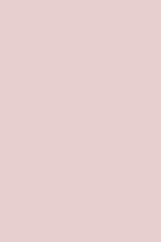 Vernis NUTRI COLOR N°28 Rose Très Clair ANDREIA fl.10.5ml