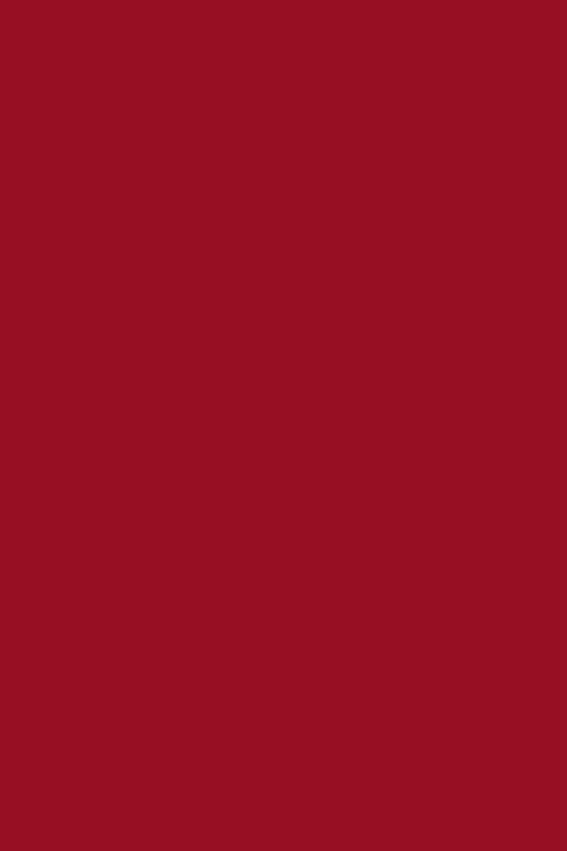 Vernis NUTRI COLOR N°32 Bordeaux Framboisé ANDREIA fl.10.5ml