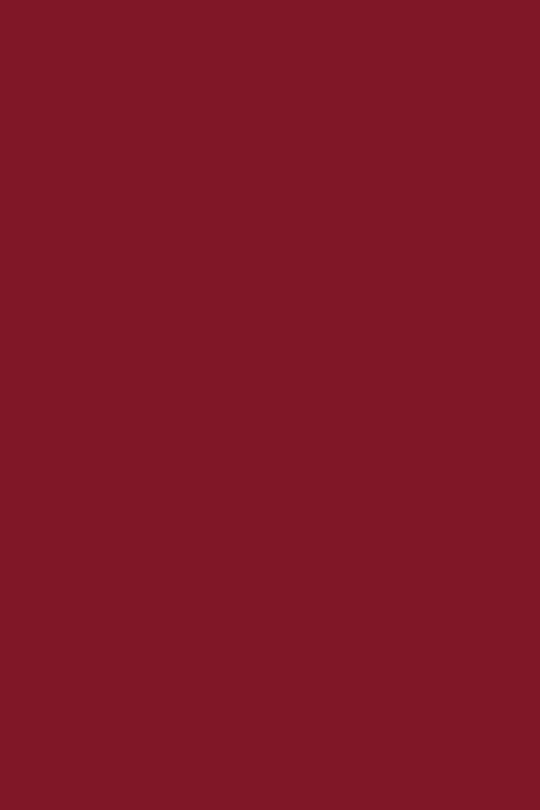 Vernis NUTRI COLOR N°32 Bordeaux Framboisé ANDREIA fl.10.5ml
