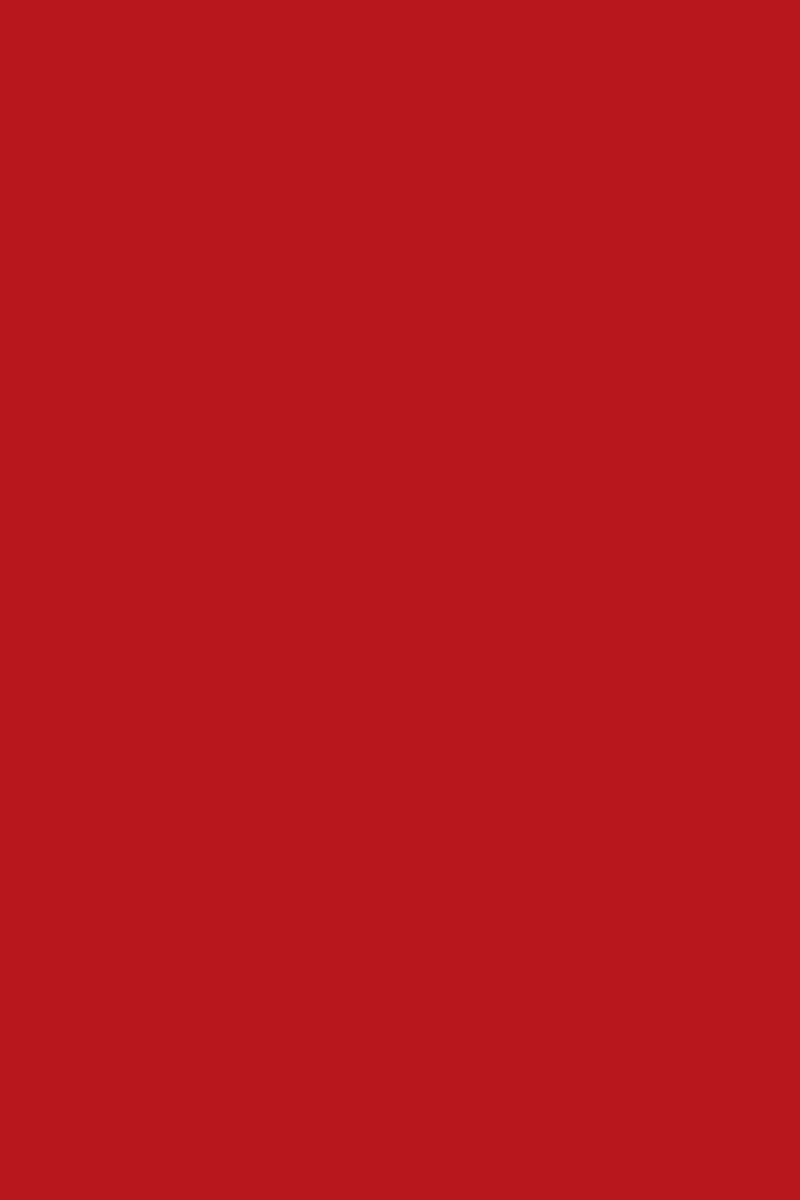 Vernis NUTRI COLOR N°38 Rouge Écarlate ANDREIA fl.10.5ml