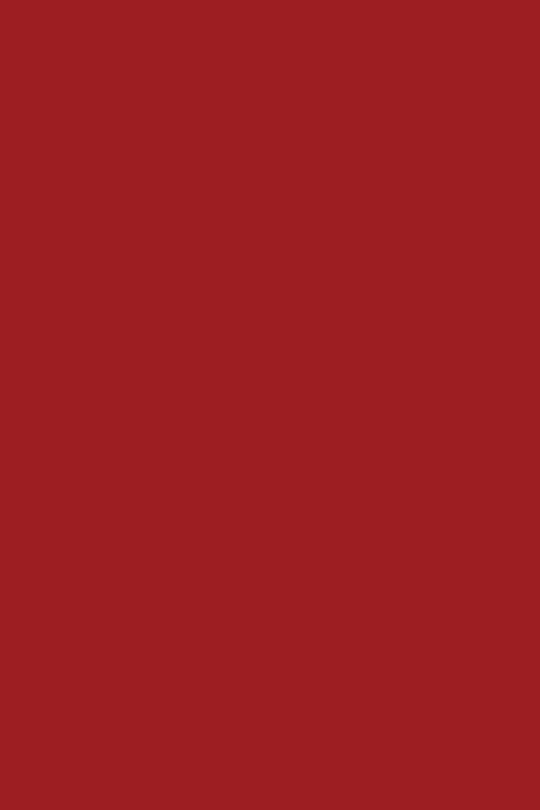 Vernis NUTRI COLOR N°38 Rouge Royal ANDREIA fl.10.5ml