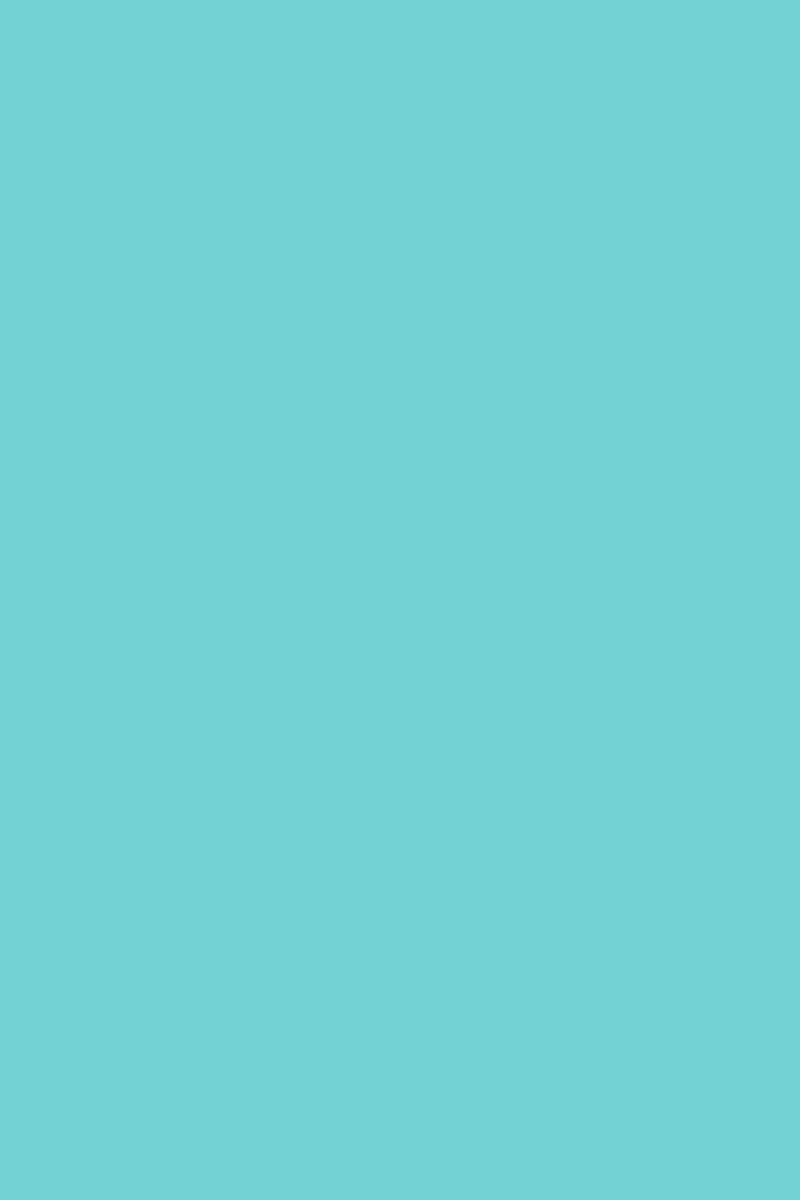 GEL SP N°201 Turquoise Pastel ANDREIA 10,5ml