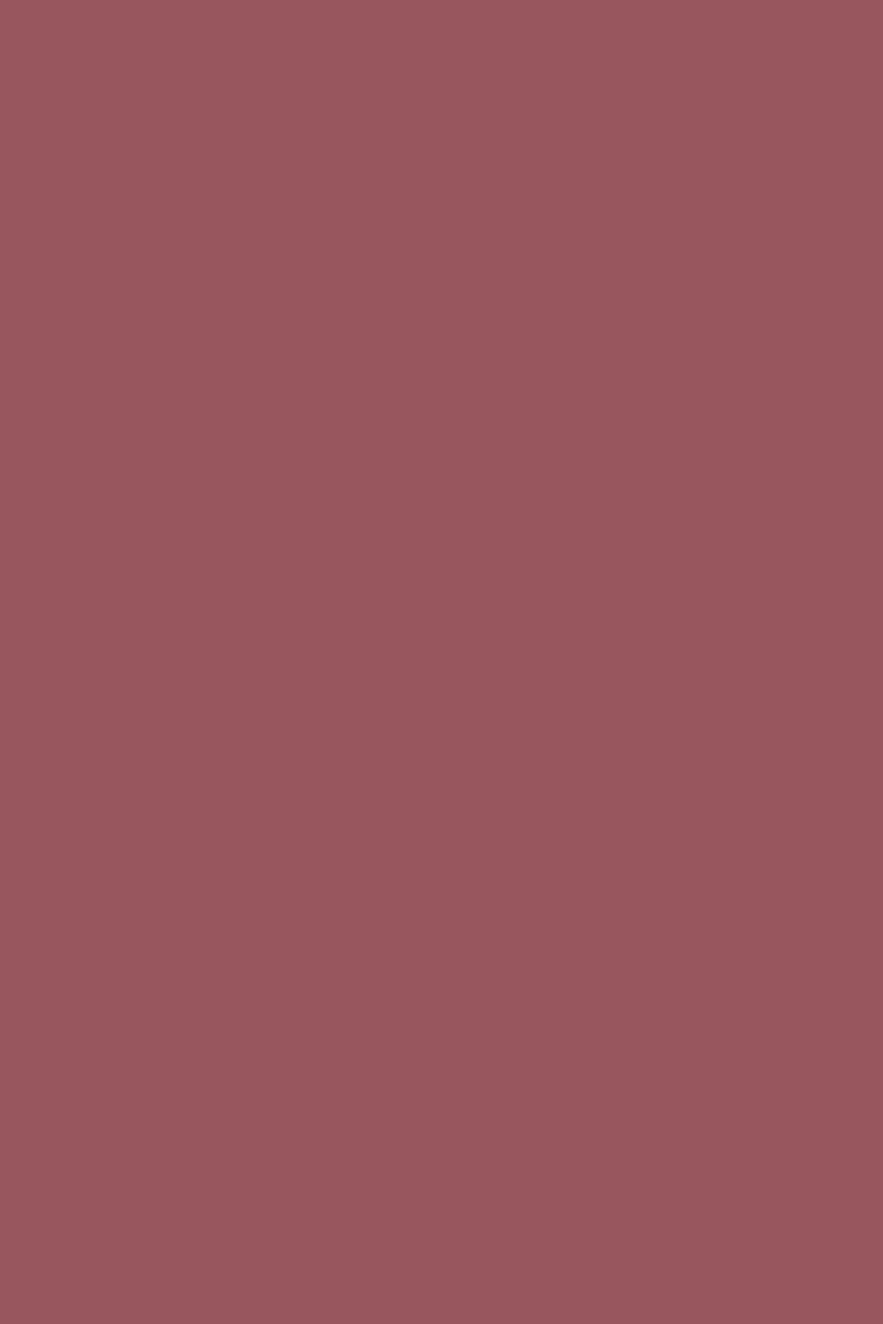 GEL SP N°224 Vieux Rose ANDREIA fl.10,5ml