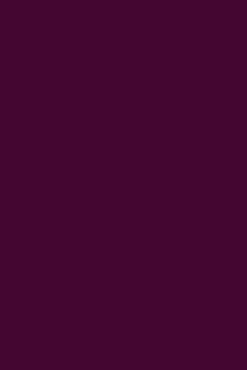 GEL SP N°231 Violet Foncé ANDREIA fl.10,5ml