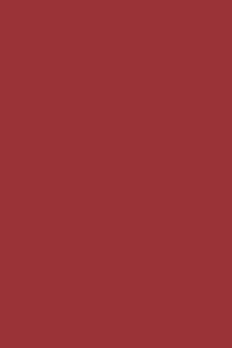 GEL SP N°236 Rouge Vintage ANDREIA fl.10,5ml