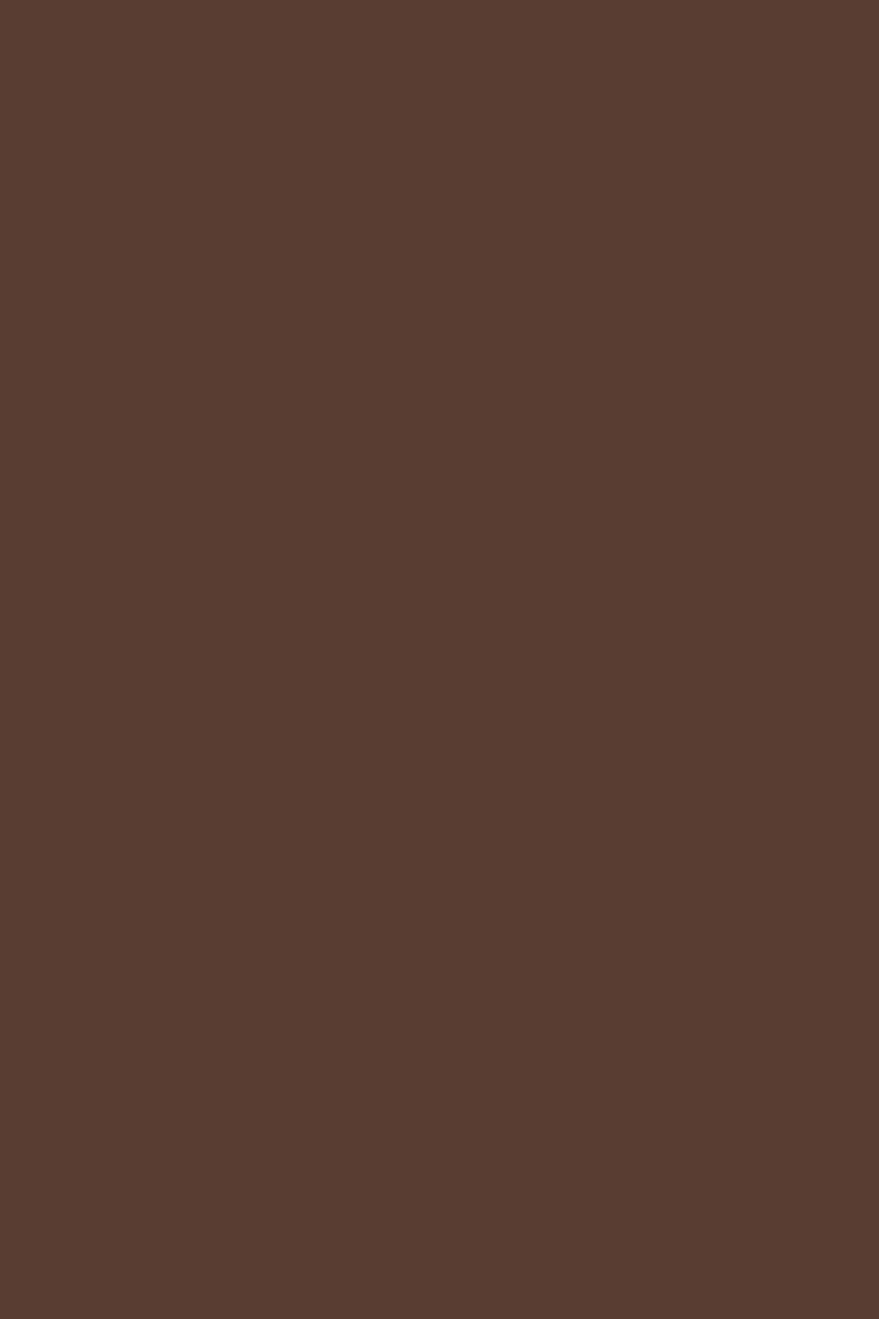 GEL SP N°239 Marron foncé ANDREIA fl.10,5ml