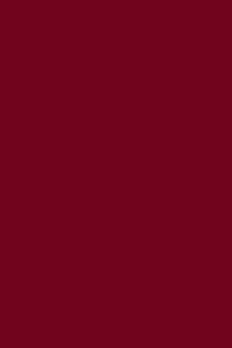 GEL SP N°283 Rouge Bordeaux ANDREIA 10,5ml
