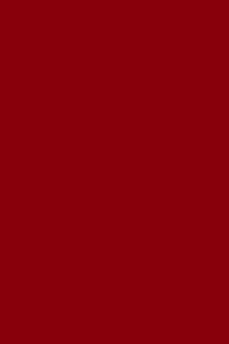GEL SP N°296 BORDEAUX ANDREIA fl.10,5ml