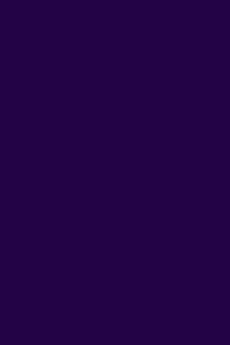 GEL SP N°299 Violet Foncé ANDREIA fl.10,5ml