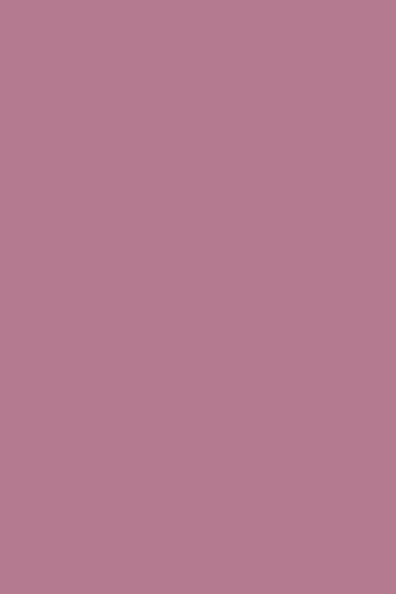 GEL SP N°306 Rose Parme "Love Story" ANDREIA 10,5ml