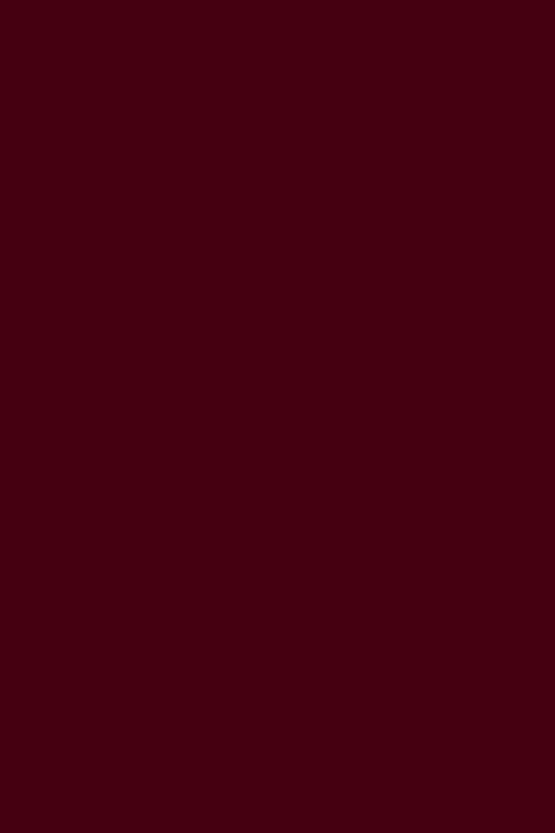 GEL SP N°MZ1 Rouge BORDEAUX "collection MAGAZINE" ANDREIA fl.10,5ml