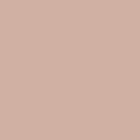 GEL POLISH NO SOLVANT N2 NUDE "Collection Nordic" ANDREIA 10.5ml