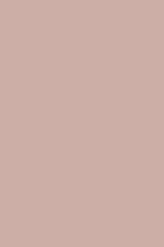 GEL POLISH TRUE PURE T08 Vieux Rose ANDREIA 10.5ml