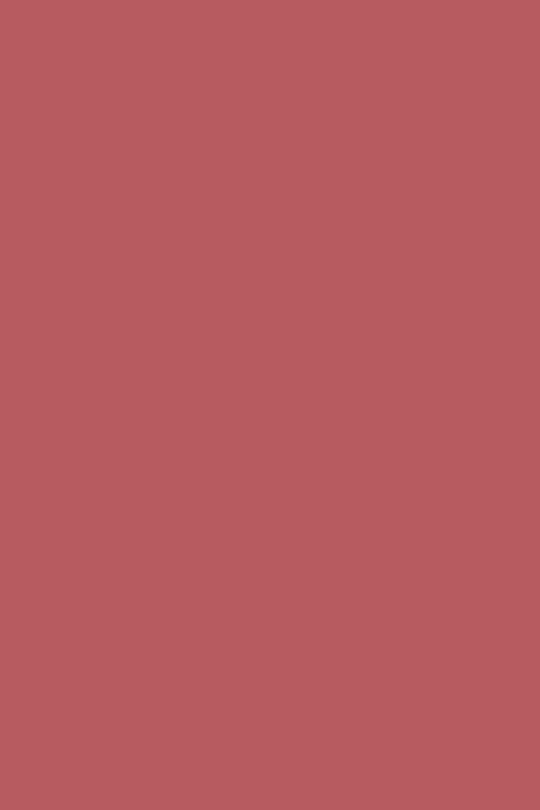 GEL POLISH TRUE PURE T27 Vieux Rose ANDREIA 10.5ml