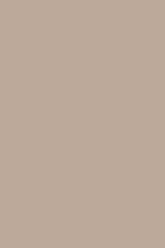 GEL POLISH TRUE PURE T28 Taupe ANDREIA 10.5ml