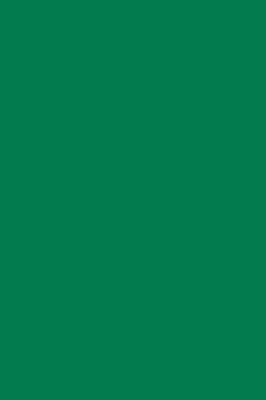GEL POLISH TRUE PURE T52 Vert Emeraude ANDREIA 10.5ml