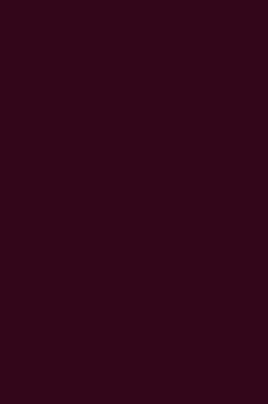 GEL SP N°MS5 Bordeaux Framboisé "collection MYSTIC" ANDREIA 10,5ml