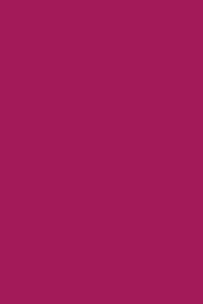 Vernis NUTRI COLOR N°19 Magenta ANDREIA fl.10.5ml