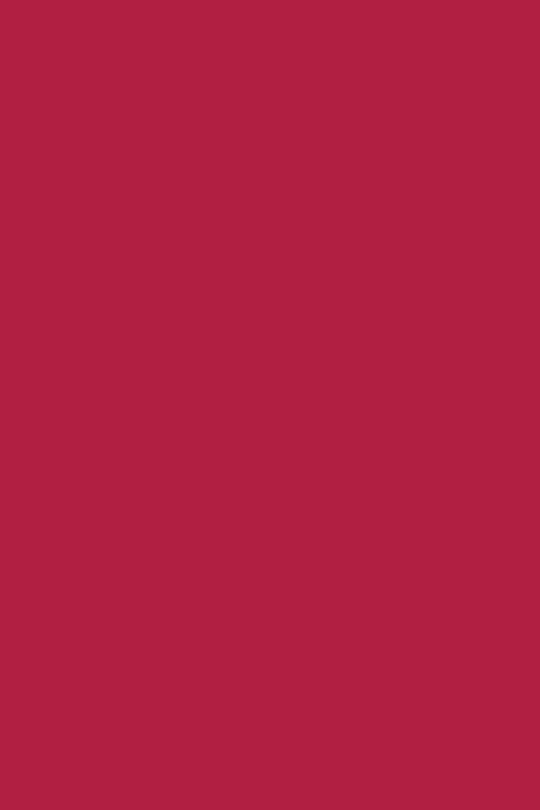 Vernis NUTRI COLOR N°22 Rose Cerise ANDREIA fl.10.5ml