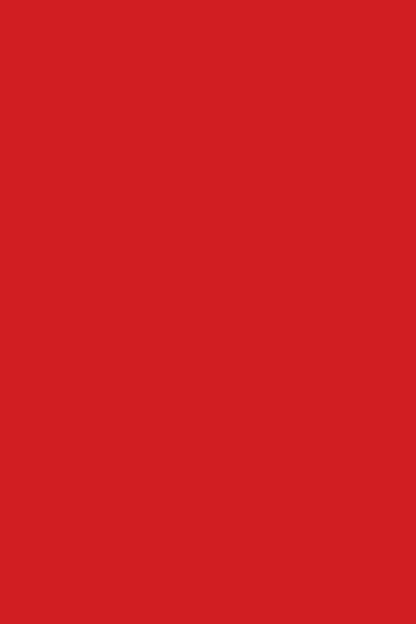 Vernis NUTRI COLOR N°37 Rouge Orangé Vif ANDREIA fl.10.5ml