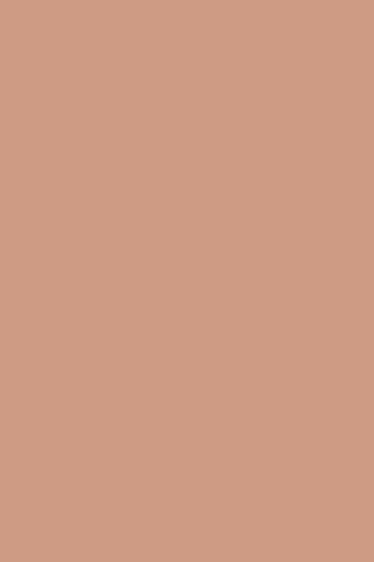 Vernis NUTRI COLOR N°08 Nude Café ANDREIA fl.10.5ml