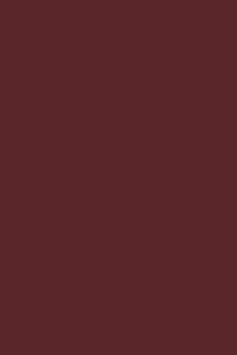 GEL SP N°229 Marron Cuivré ANDREIA fl.10,5ml