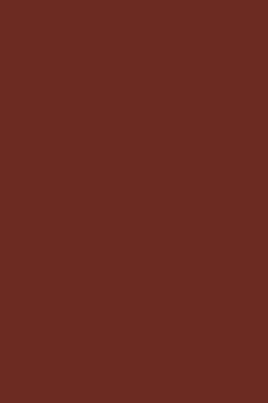 GEL POLISH TRUE PURE T33 Marron Rosé ANDREIA 10.5ml