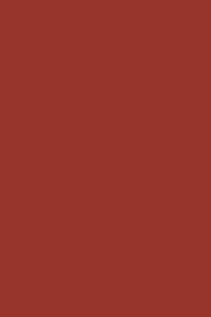 GEL POLISH TRUE PURE T34 Rouge Brique ANDREIA 10.5ml